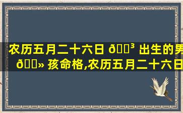 农历五月二十六日 🐳 出生的男 🌻 孩命格,农历五月二十六日出生的男孩命格2023